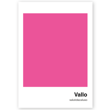 Poster Frazione Vallo