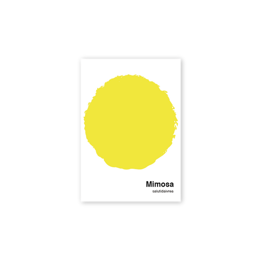 Poster Mimosa