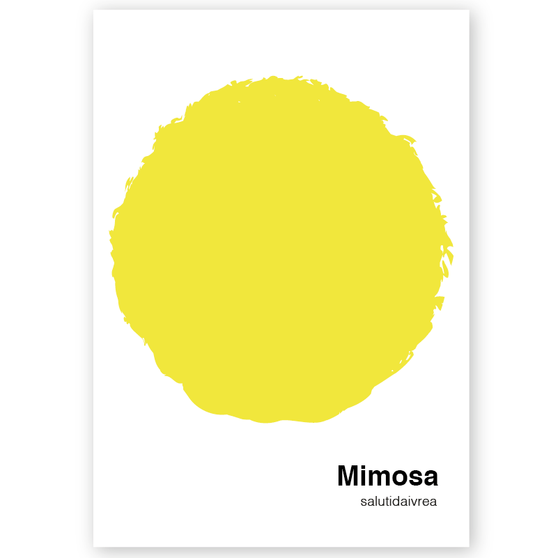 Poster Mimosa