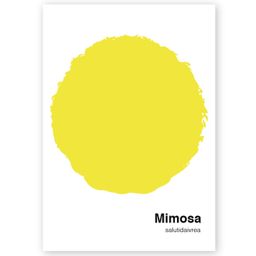 Poster Mimosa